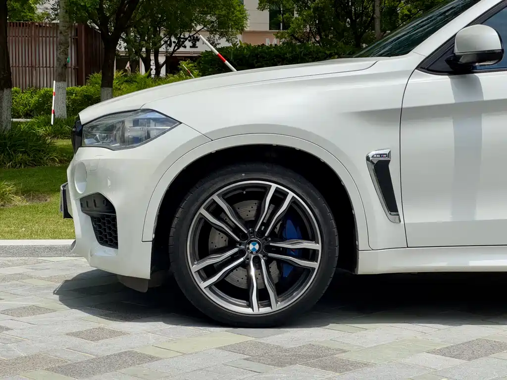 BMW X6 M