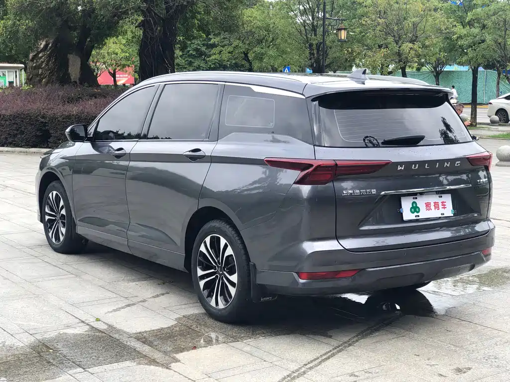 Wuling Victory 1.5 T CVT Flagship Business Cabin