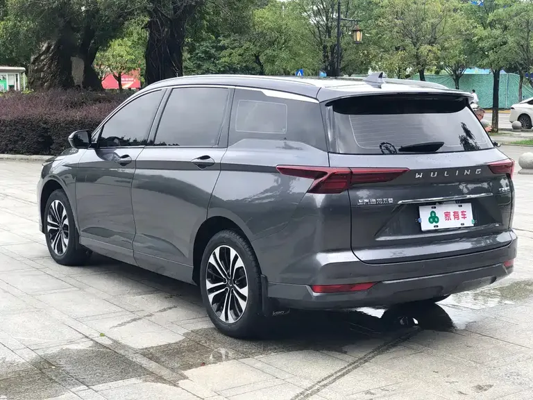 Wuling Victory 1.5 T CVT Flagship Business Cabin