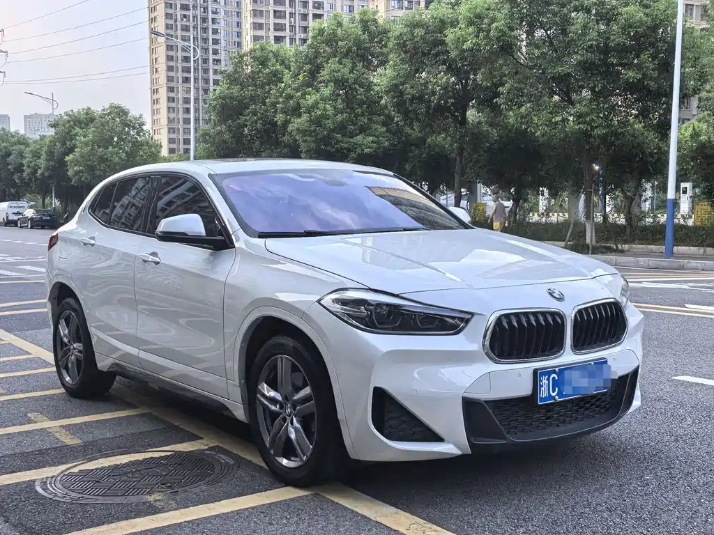 BMW X2 sDrive25 i M Sport Package