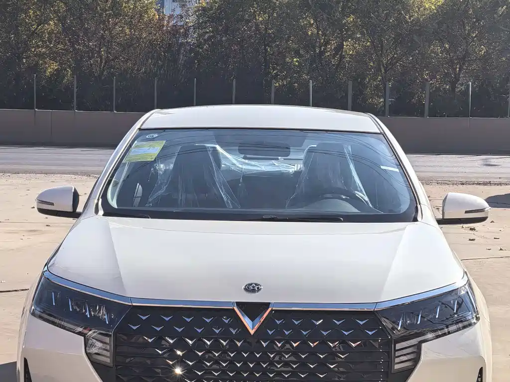 Venucia D60 PLUS 1.6 L XL CVT Joy Leading