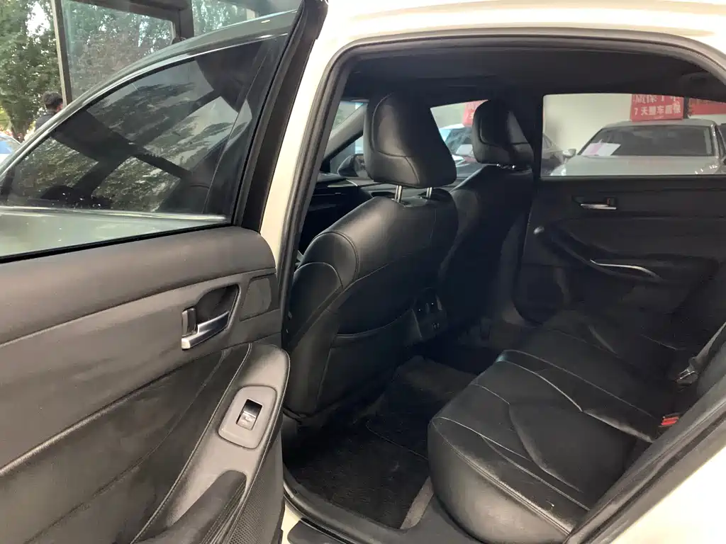Avalon 2.0 L Luxury CN-VI