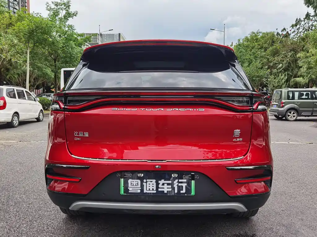 Tang NEV DM 2.0 T 4 WD High Performance Honored