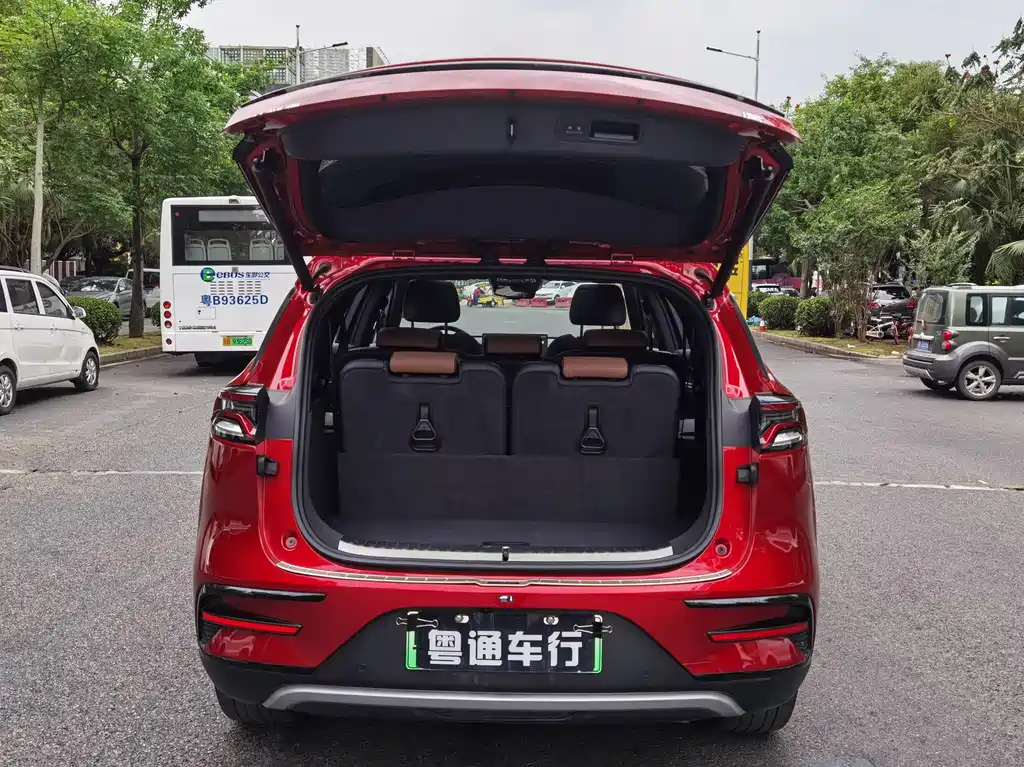 Tang NEV DM 2.0 T 4 WD High Performance Honored
