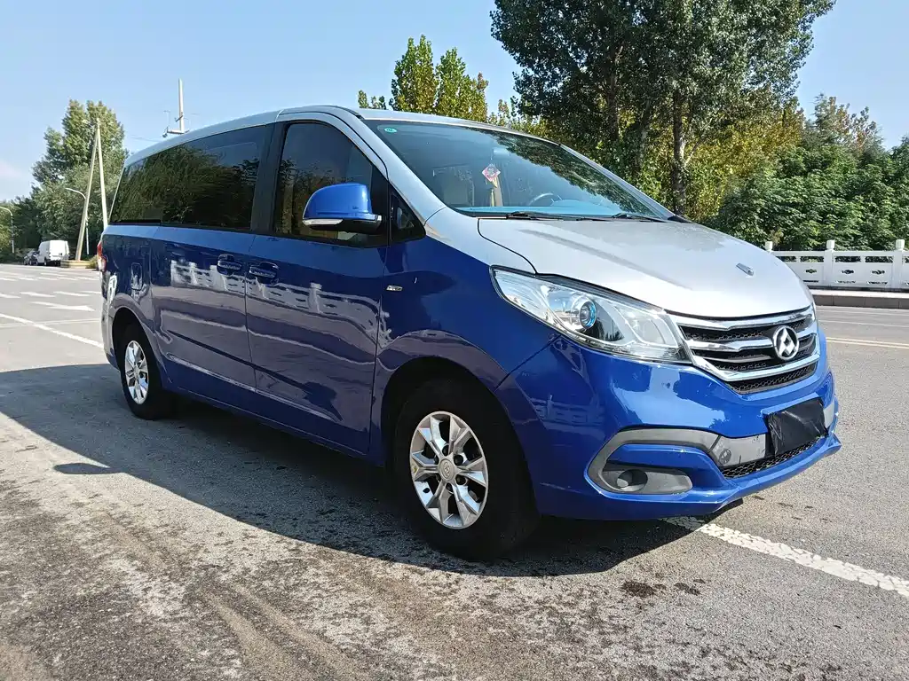 Maxus G10 2.0 T Auto Luxury Executive