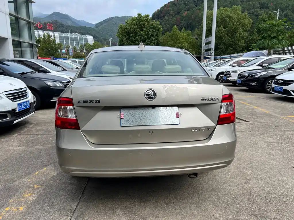 Rapid 1.6 L Manual Smart Select