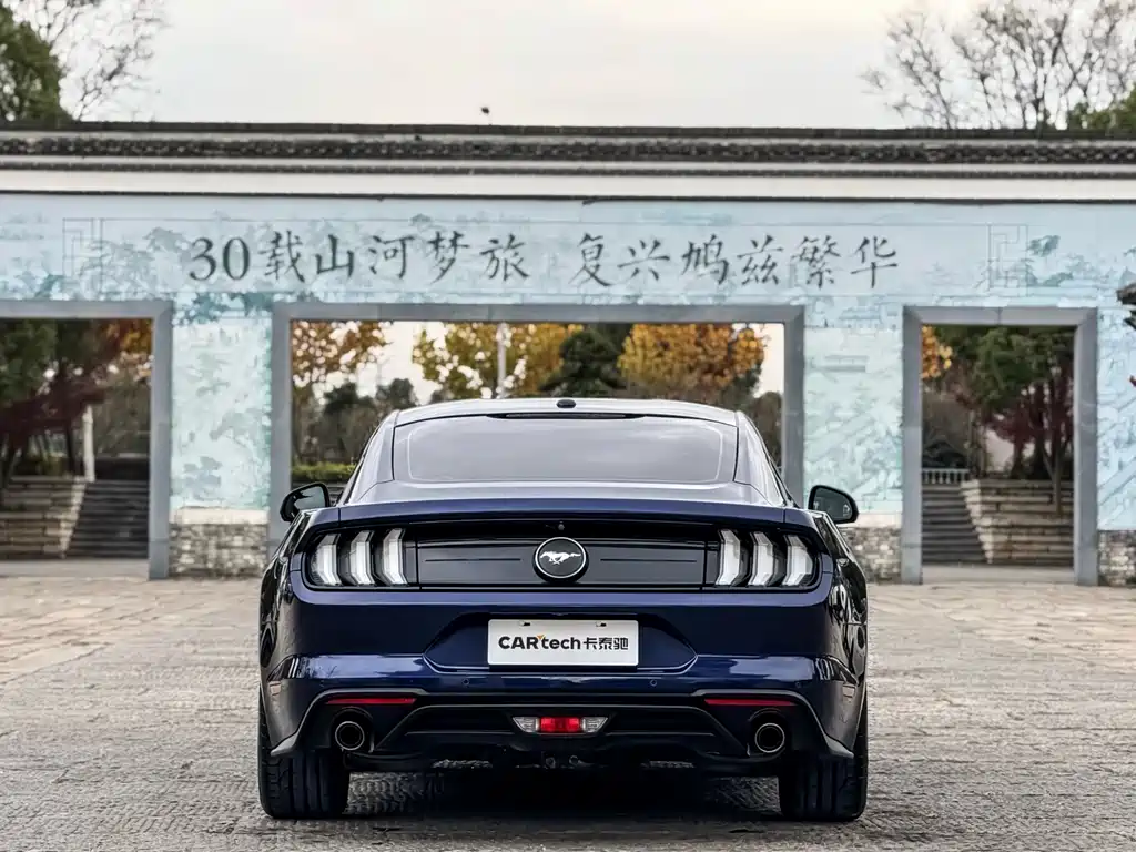 Mustang 2.3 L EcoBoost Performance Reinforced