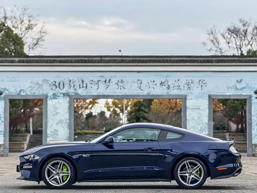 Mustang 2.3 L EcoBoost Performance Reinforced