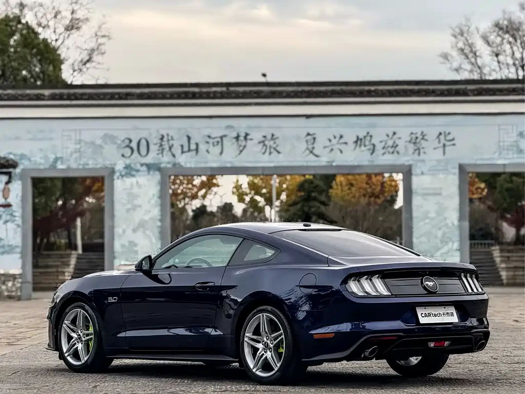Mustang 2.3 L EcoBoost Performance Reinforced