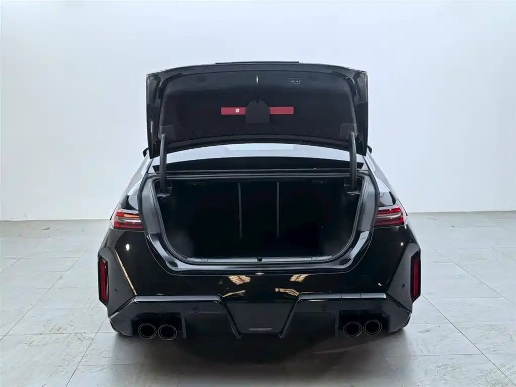 BMW M5 NEV