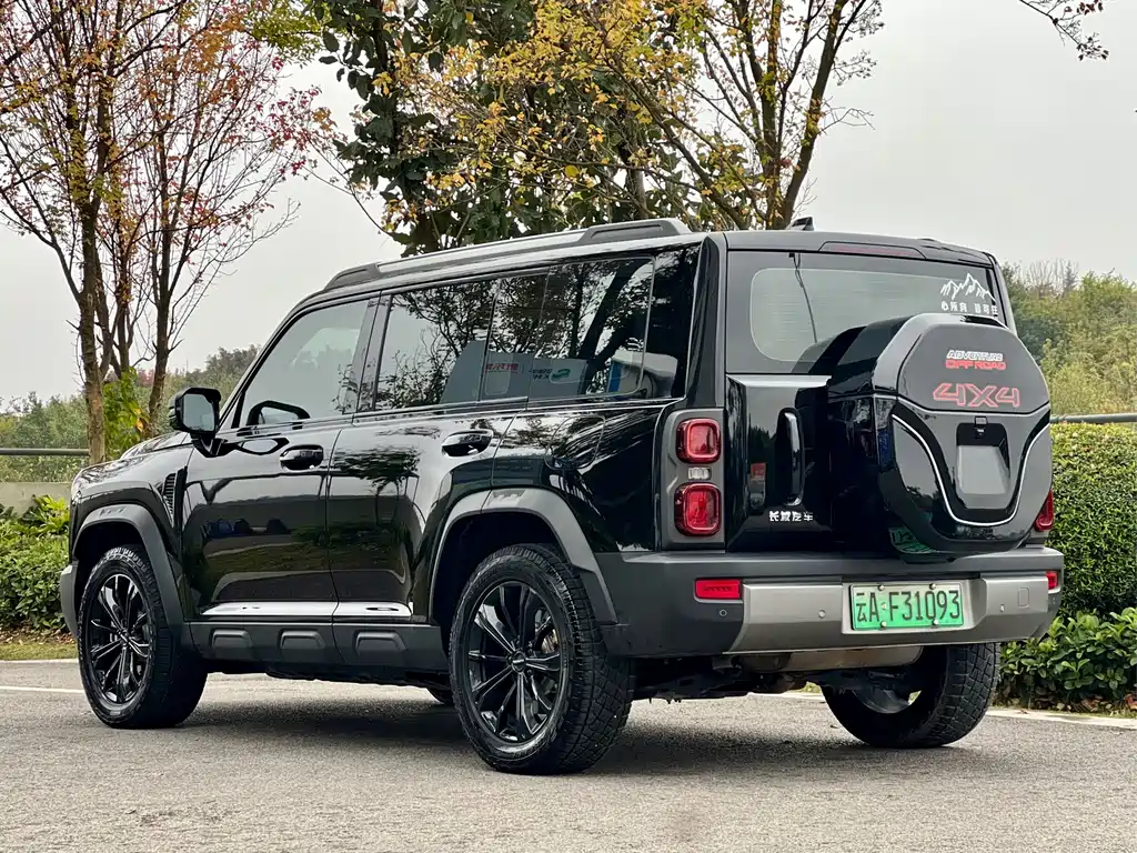 Haval Menglong NEV Hi4 145 Explorer
