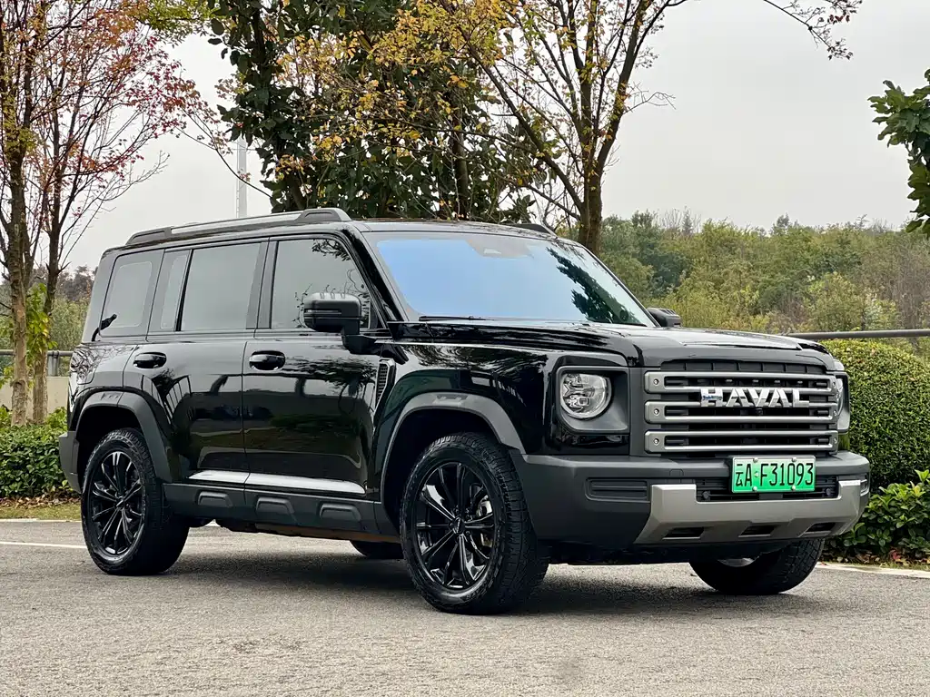 Haval Menglong NEV Hi4 145 Explorer