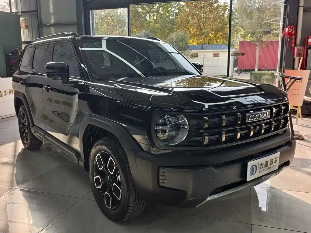 Haval Cool Dog 1.5 T DCT 4 WD Trend Wild