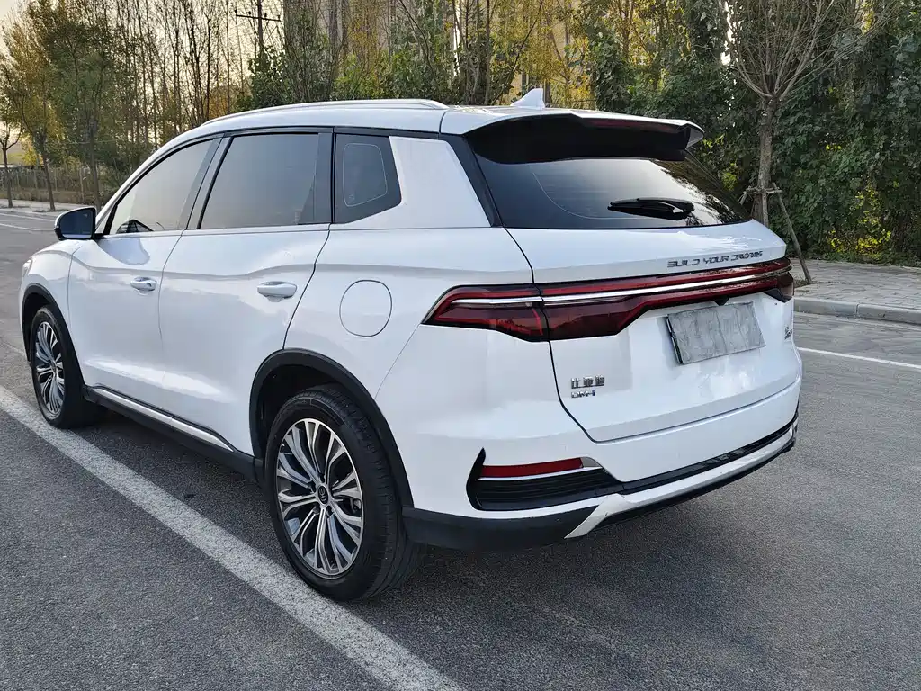 Song Pro NEV DM-i 110 km Flagship