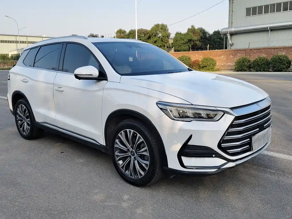 Song Pro NEV DM-i 110 km Flagship