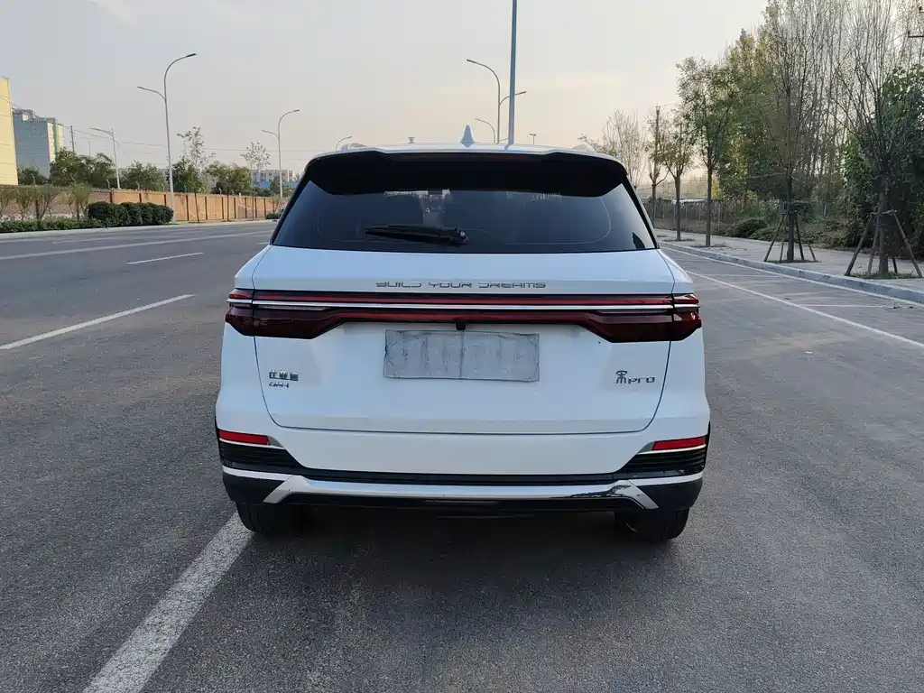 Song Pro NEV DM-i 110 km Flagship