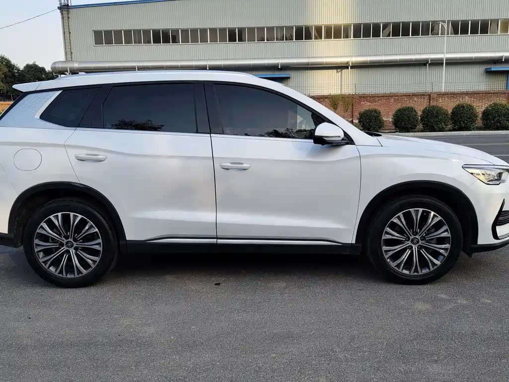 Song Pro NEV DM-i 110 km Flagship