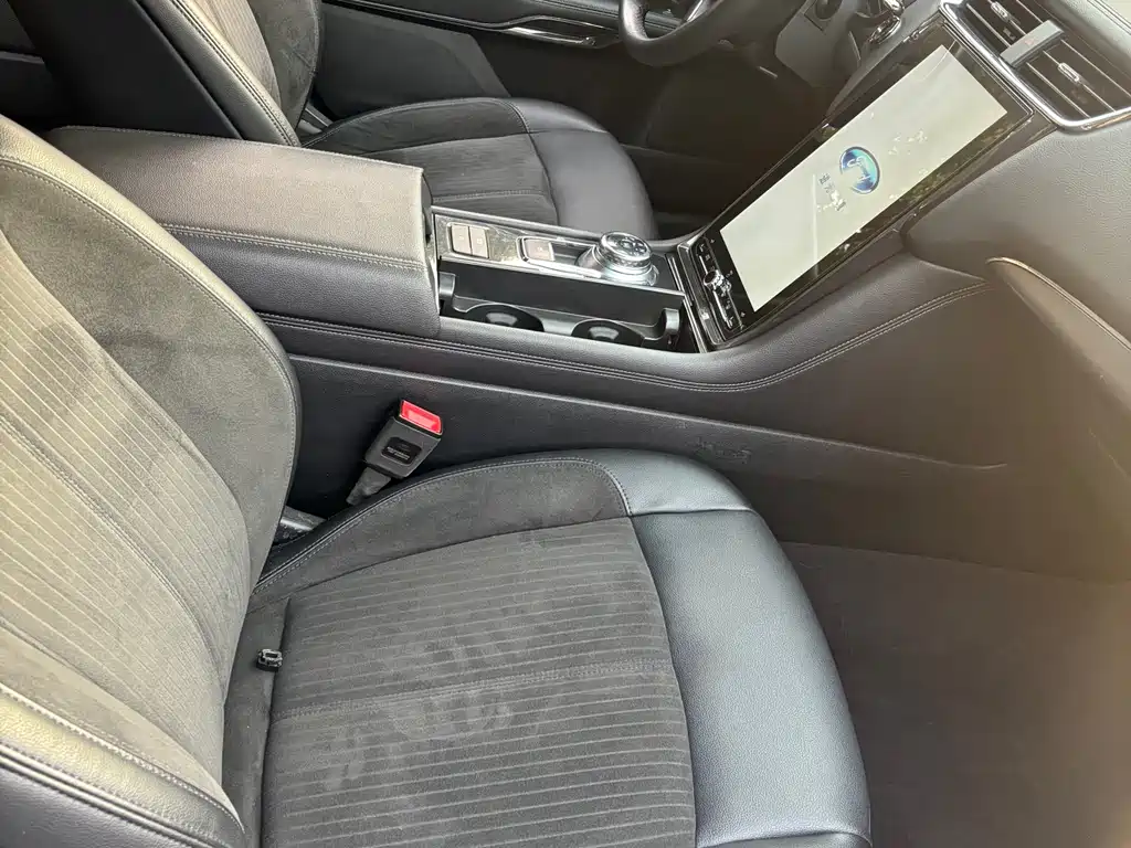 Taurus EcoBoost 245 Joy