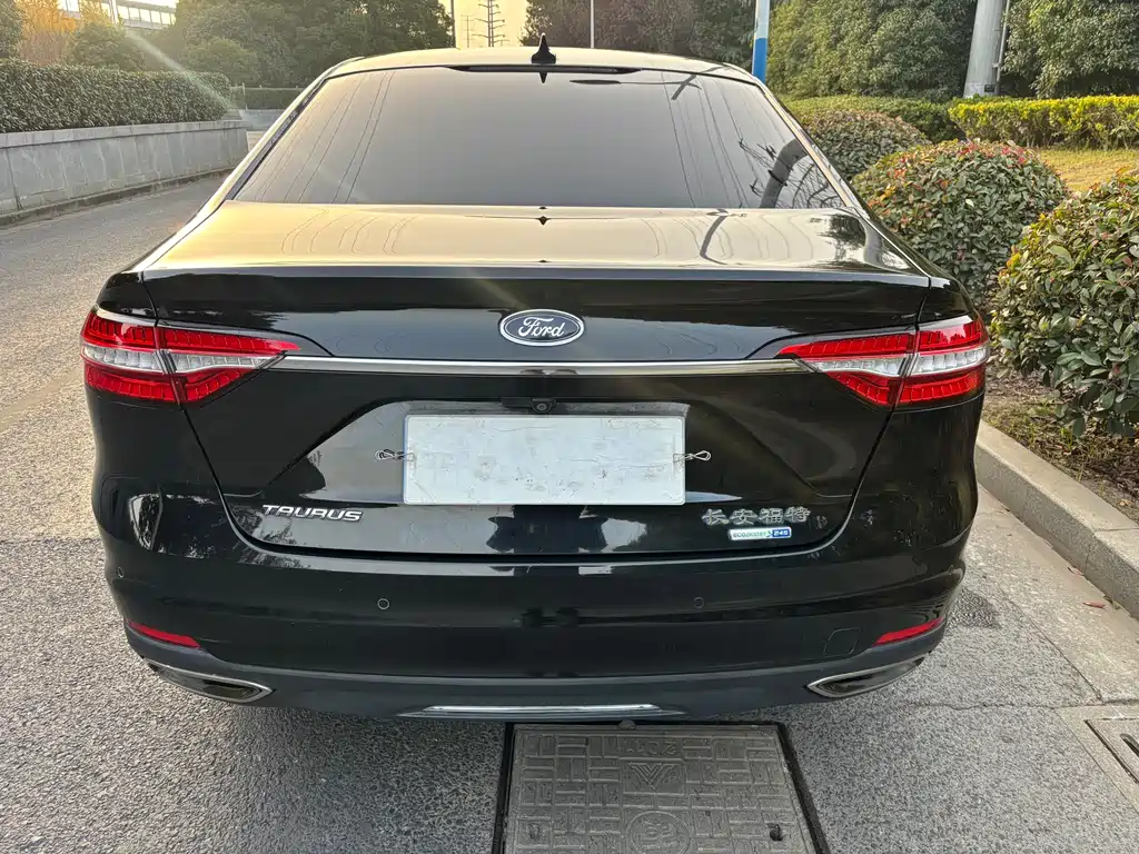 Taurus EcoBoost 245 Joy