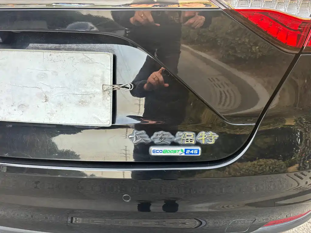 Taurus EcoBoost 245 Joy