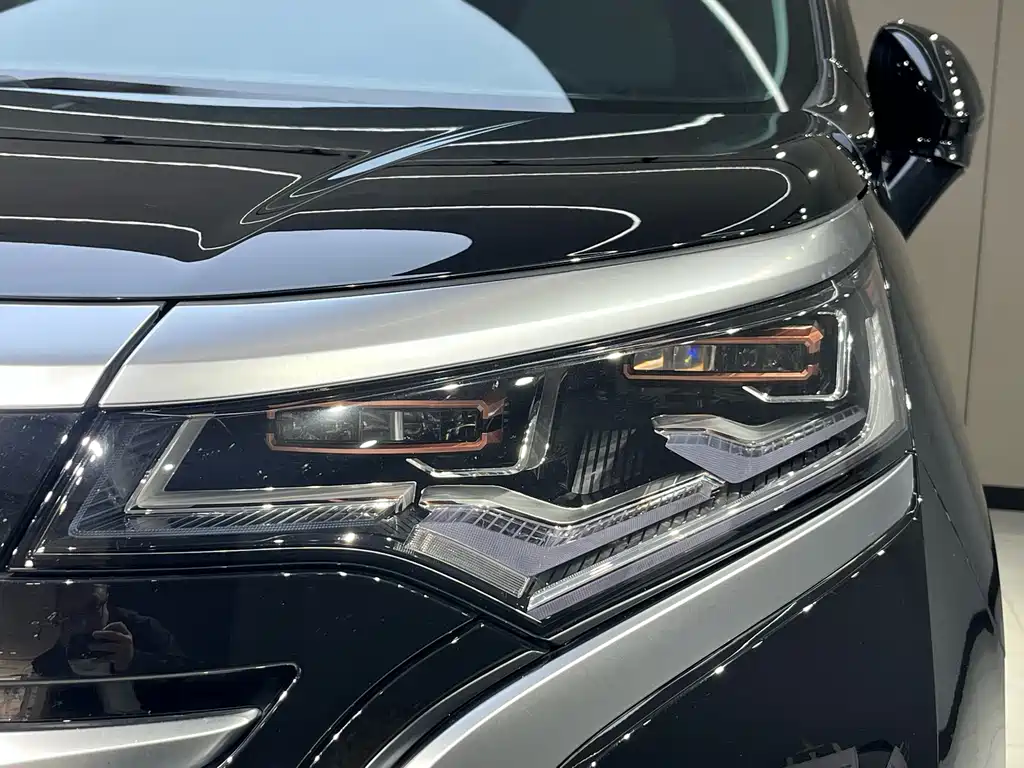 Denza D9 DM-i 970 4 WD Honored
