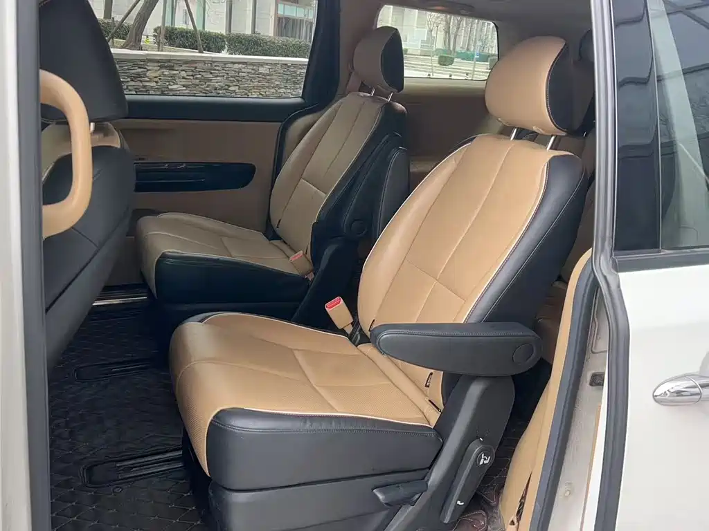 Carnival (Import) 3.3 GDI Luxury CN-IV