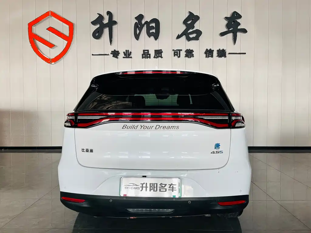 Tang NEV DM 2.0 T Full-time 4 WD Connected Creative Enjoyment 7-seat CN-V