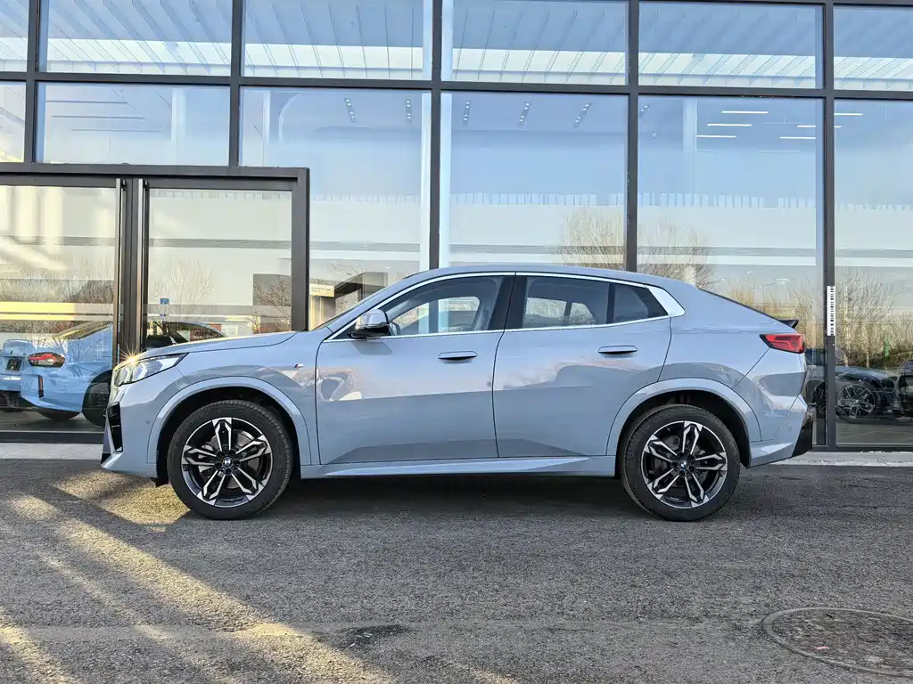 BMW X2 (Import) sDrive25 i M Sport Package