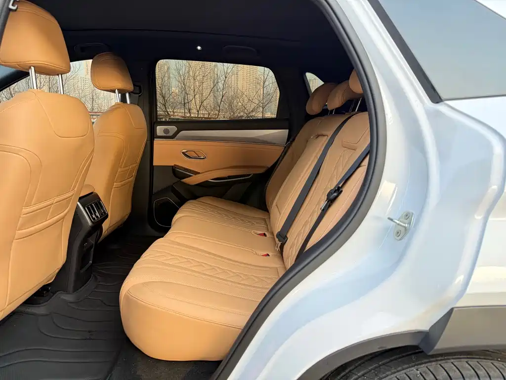Song L DM-i Smart Drive 160 km Transcend