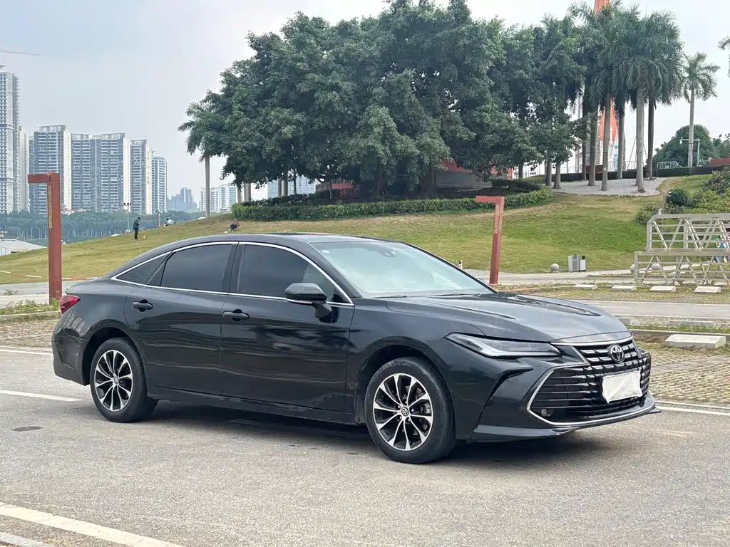 Avalon 2.0 L Progressive