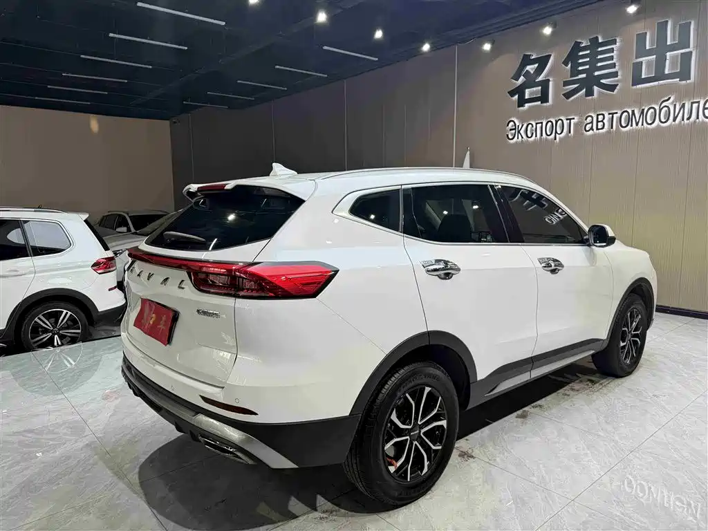 Haval H6 China Style 1.5 T Auto Urban