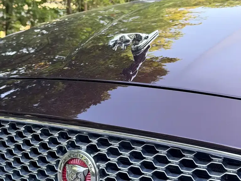 Jaguar XJ XJL 3.0 SC 4 WD Panoramic Business