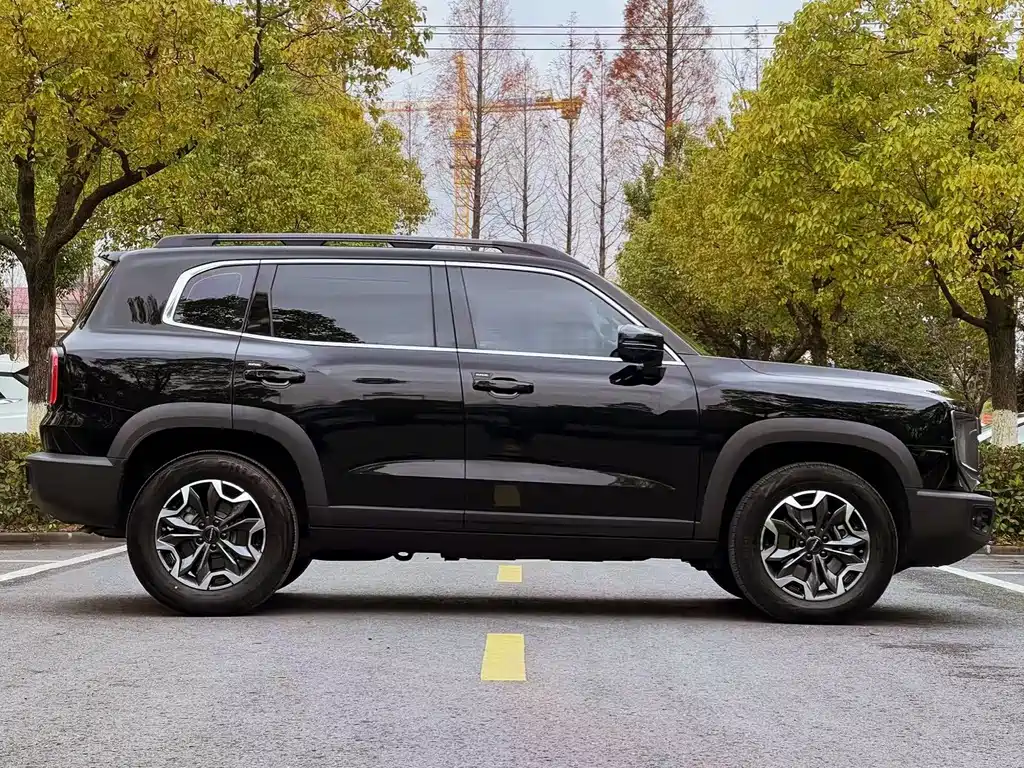 Haval Dargo 2.0 T DCT Brilliance Country Dog
