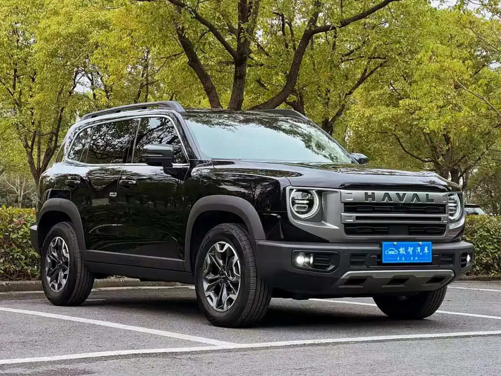 Haval Dargo 2.0 T DCT Brilliance Country Dog
