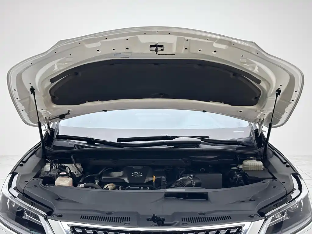 Lexus RX 300 2 WD Elite CN-VI