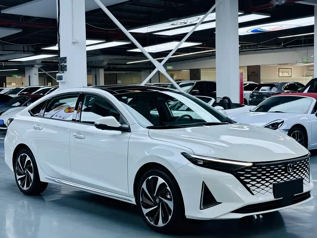 Ruicheng PLUS 1.5 T DCT Flagship