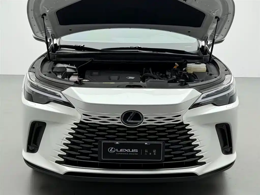 Lexus RX 350 h 2 WD Comfort Enjoyment