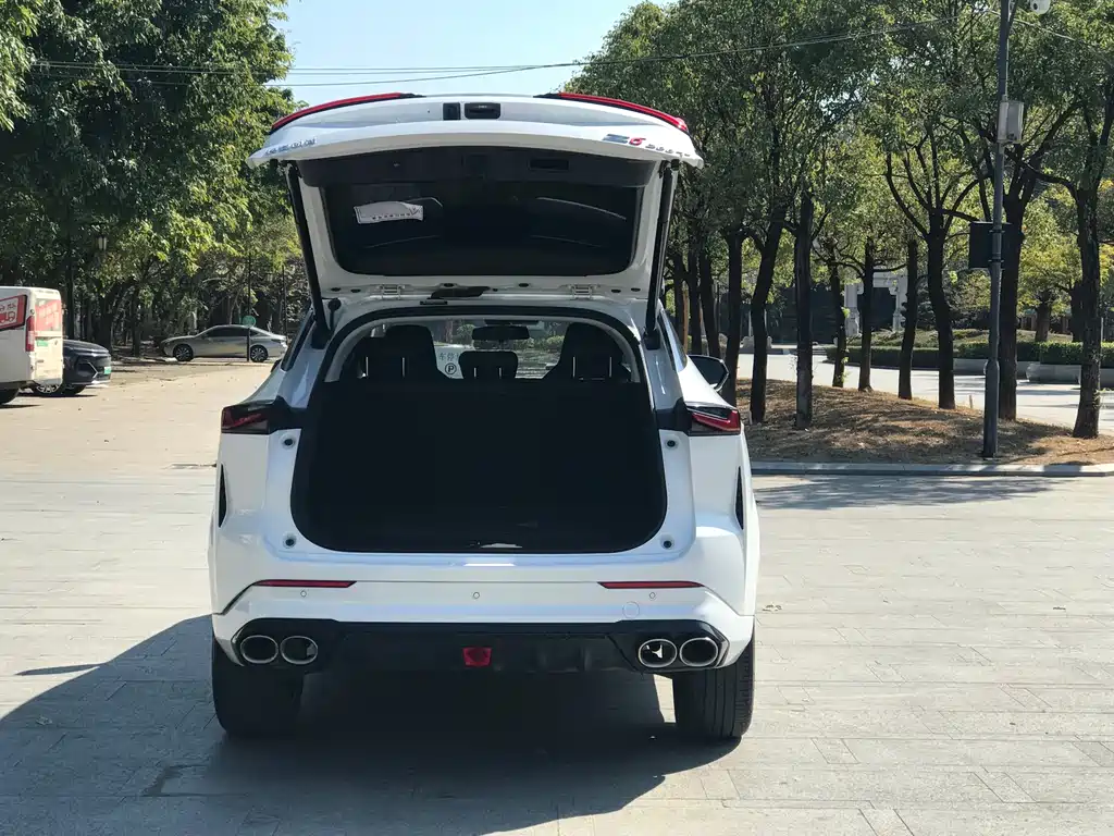 Changan Oshan Z6 Blue Whale 1.5 T DCT Smart Supreme
