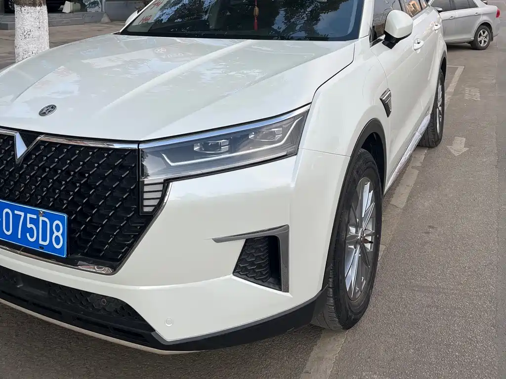 Venucia Star 260 T Auto 48 V Mild Hybrid Turbo Star Enjoyment