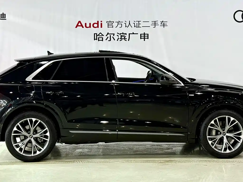 Audi Q8 55 TFSI Luxury Dynamic