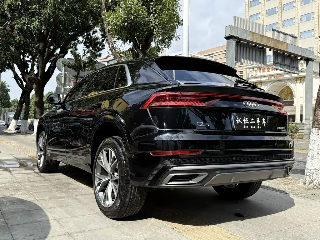 Audi Q8 55 TFSI Luxury Dynamic