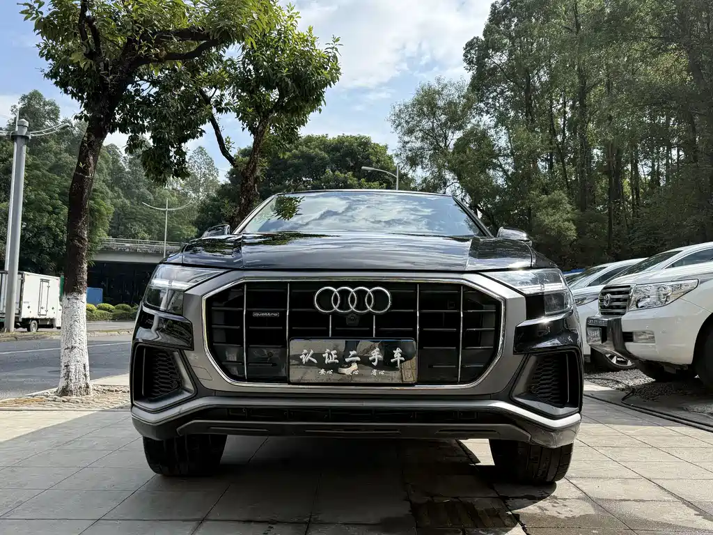 Audi Q8 55 TFSI Luxury Dynamic
