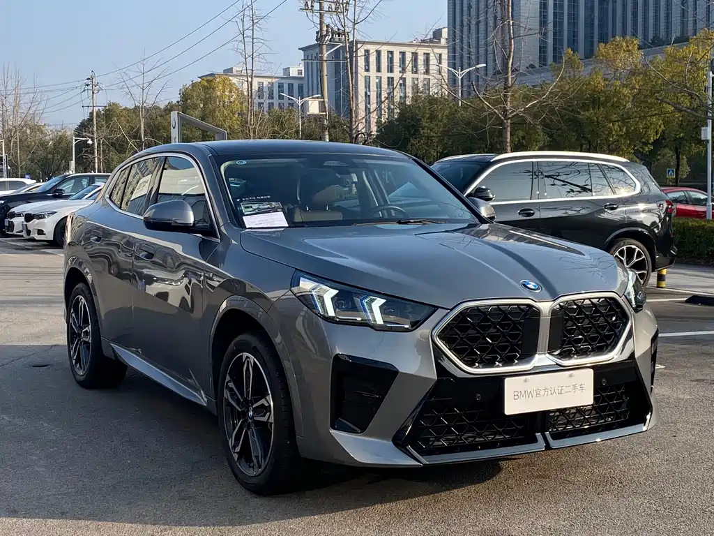 BMW X2 (Import) sDrive25 i M Sport Package