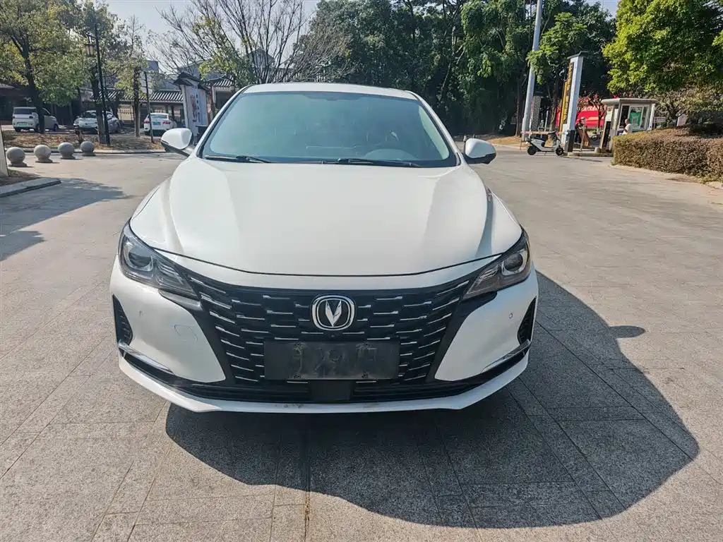 Ruicheng CC Blue Whale 1.5 T DCT Luxury