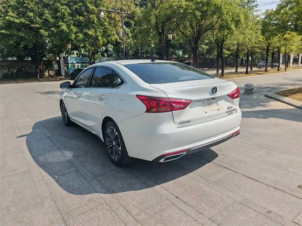 Ruicheng CC Blue Whale 1.5 T DCT Luxury