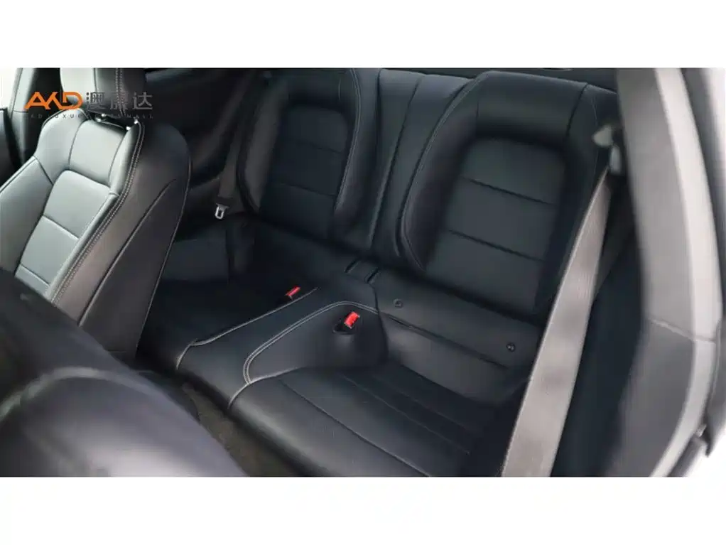 Mustang 2.3 T Performance