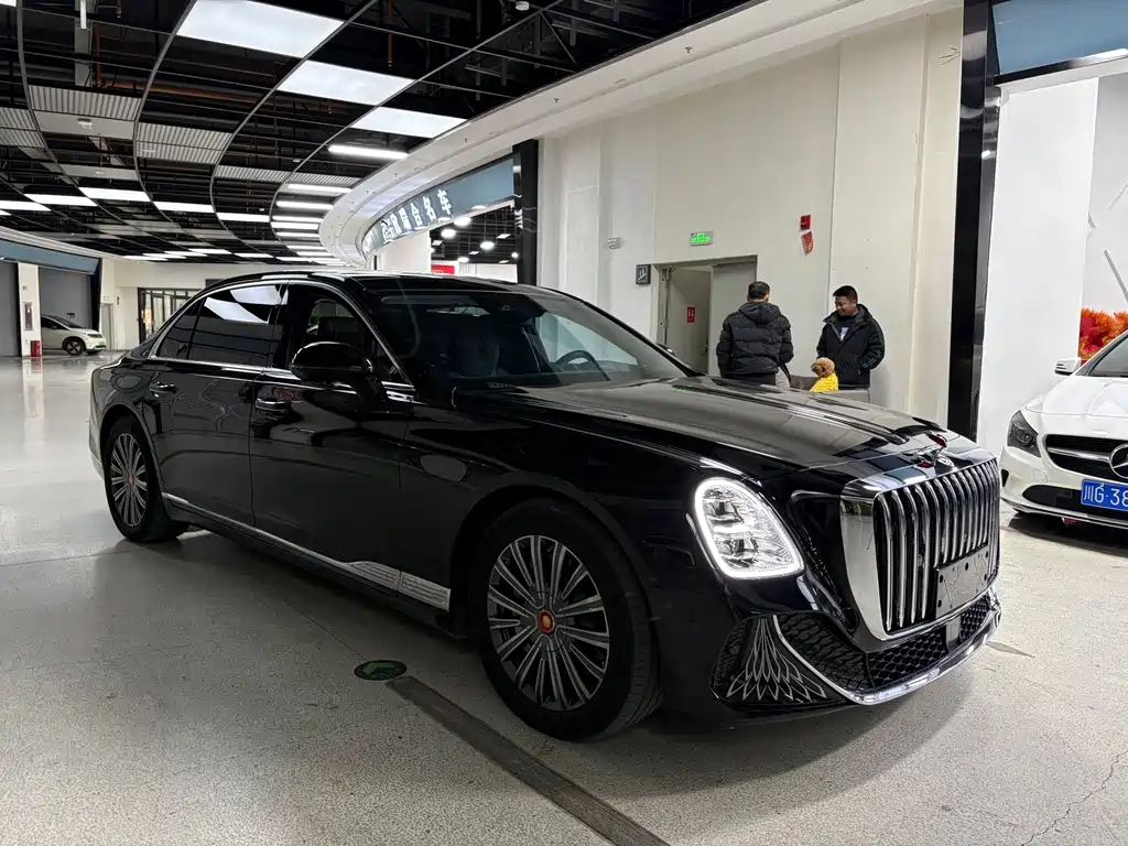 Hongqi Jinkuihua Guoya 3.0 T V6