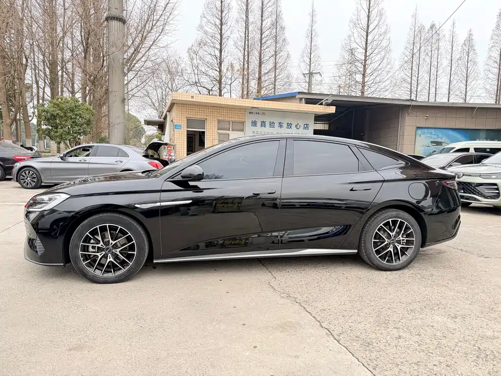 Seal DM-i 1.5 L 121 km Luxury