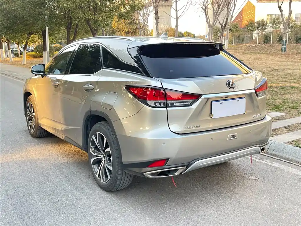 Lexus RX 300 4 WD Elegant CN-VI