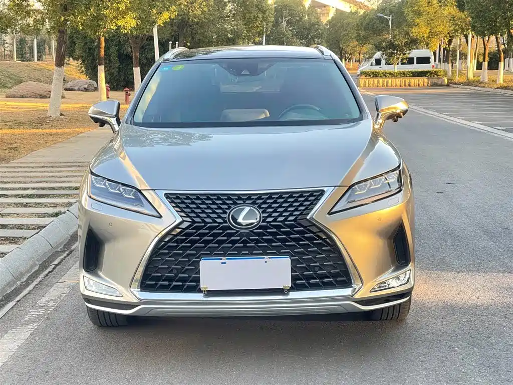 Lexus RX 300 4 WD Elegant CN-VI